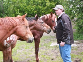 Melvin Underwood talks to his horses, Chinook, Halrey and Rusty, at the Woodlands Lac Ste. Anne Gymkhana Association riding grounds.
Celia Ste Croix | Whitecourt Star