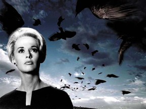 Publicity image with actress Tippi Hedren, for Alfred Hitchcock’s The Birds.