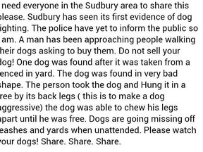 For a few weeks reports of dog fighting in Sudbury have been widely circulated on Facebook, through a warning shared more than 1,000 times. (Facebook iage)
