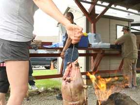 Judy McLeod sets a rotisserie spin to a goose she is cooking over a fire.