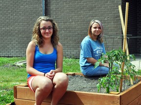 L-R Grade 8 students Kaila Rodewald and Makayla Timony sit in the new wellness garden created at Ecole Arthur Meighen School with assistance from the Provincial Education for Sustainable Development Grant as well as a grant from Manitoba Hydro. (ROBIN DUDGEON/PORTAGE DAILY GRAPHIC/QMI AGENCY)