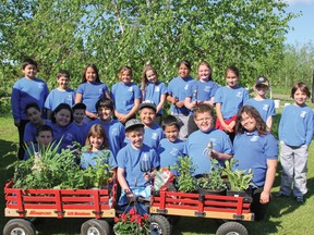 Aileen Wright students from Mrs. Jones' 3/4 split class weeded, pruned and planted flowers at Villa Minto on Tuesday morning.