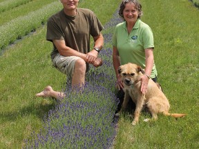 Anita and Steve Buehner show off the two major pillars of their operation at Bonnieheath Estate Lavender and Winery, outside Waterford. (Michael-Allan Marion, The Expositor)
