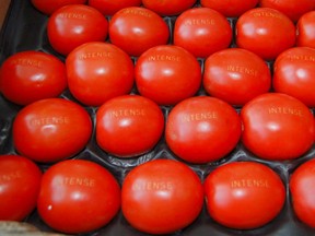 Tomatoes are shown with words etched with laser from Spain-based Laser Food, one of the makers of the laser labeling technology in Europe. (Laserfood.es photo)