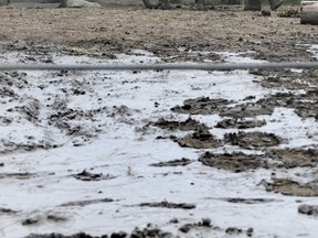 The elephants enclosure is caked in mud at the Calgary Zoo after severe flooding Friday in Calgary, Alta.  
Stuart Dryden/Calgary Sun/QMI Agency