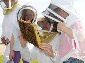 Richard Krahn holds a frame from a bee hive to show his kids Abigail, 10, and Matthew, 8 during a demonstration at the 60th annual Beekeepers’ Field Day at the Beaverlodge Research Farm, June 21. The Krahns, who live just west of Beaverlodge, have just started keeping bees with three hives this year. (Diana Rinne Peace Country Sun)
