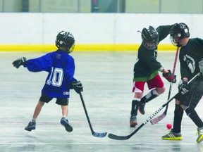 The Fort Saskatchewan Ball Hockey League came to an end on Sunday, June 23, as the top two teams in each division faced off.