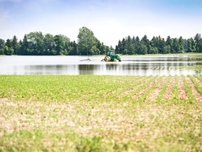 A waterlogged field is shown in Chatham Township on Wednesday. While farmers want a reprieve, more precipitation is in the forecast. CONTRIBUTED/ THE CHATHAM DAILY NEWS/ QMI AGENCY