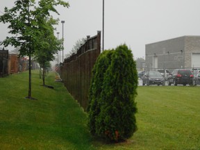 The City of Brantford is hoping a land sale to Strickland's, right, will help it address a longstanding issue with the fence between the automotive dealership and the residents at 35 Cobden Crt. (HUGO RODRIGUES Brantford Exositor)