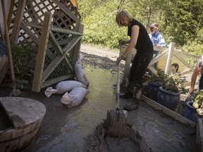 Laureen Harper, wife of the Canadian Prime Minister, got her hands dirty in an effort to assist Exshaw residents who have recently been affected by heavy flooding in southern Alberta. Exshaw was one stop of many in southern Alberta for Harper. Justin Parsons/ Canmore Leader/ QMI Agency