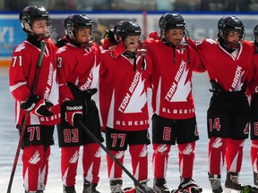 Team Brick Alberta cruised to a 7-2 victory over the Boston Jr, Bruins in their opening game of the Brick Invitational Super Novice Hockey Tournament at West Edmonton Mall in Edmonton, AB on Monday, July 1, 2013 TREVOR ROBB QMI Agency