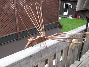 North Bay resident Richard Barnard made a shadfly in celebration of their arrival. Barnard welded this creation out of a pipe wrench and designed the metal wings.