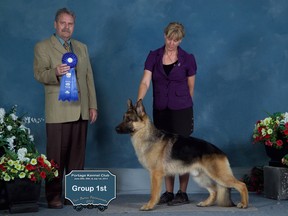 Cash, a purebred German Shepherd, won his grouping at the Portage Kennel Club 2013 dog show this past weekend. (Submitted photo)