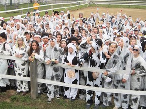 MONTE SONNENBERG Simcoe Reformer
This was the scene at the Norfolk County Fair last October when 298 Holy Trinity students and their supporters came out on Young Canada Day to set the Guinness record for most people gathered in one place dressed in cow costumes.