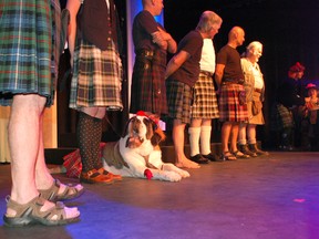 A packed audience was delighted by the first-ever Legs in Kilts competition at the Kincardine Centre for the Arts on July 4, 2013. Contestants line up to compete in the "Hairiest" Legs in a Kilt category, even Atticus Faubert, a St. Bernard. (ALANNA RICE/KINCARDINE NEWS)