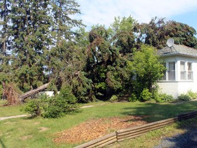 The home of the Sherred family in Keewatin after the Friday morning storm blew one of their trees down onto their house at about 8:30 a.m.