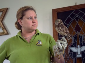 A member of the Prairie Wildlife Rehabilitation Centre pictured with one of its animal ambassadors at the Fort la Reine Musuem, Saturday. The educational demonstration was part of the Harry Potter's World exhibit which runs until July 13. (ROBIN DUDGEON/PORTAGE DAILY GRAPHIC/QMI AGENCY)