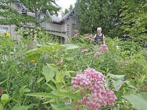 Sheila Clarke's vibrant natural garden on Elizabeth Street was one of eight stops on the Stratford and District Horticultural Society's annual garden tour Sunday. MIKE BEITZ / The Beacon Herald