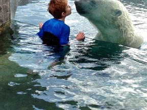 A youngster gets up close with a bruin at the Cochrane Polar Bear Habitat. There will be more for families to do at the Habitat as the attraction is adding a polar bear-themed playground and a new eatery.