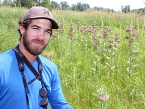 Adam Timpf is surrounded by milkweed, prime monarch butterfly territory, sans any monarchs. This year’s Long Point Butterfly Count recorded a 22-year record low of four, well off the average of 51 and last year’s high of 186. A winter survey in Mexico indicated numbers were down, but Timpf believes a late spring and summer are major factors locally. Jeff Tribe/Tillsonburg News