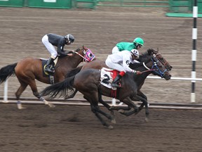 Randy Vanderveen/ Special to the Daily Herald-Tribune
Corrine Andros (green silks) aboard Joey La Bamba comes up on the short end of a photo finish in her maiden ride as a jockey as Blandford Stewart on Bargain Buy takes the win. Stanley Chadee Jr. pulls up in third place during the second race of the 2013 Race Season at Evergreen Park July 5.