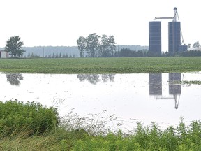 A field west of Dublin is partially submerged this week after more rain fell on the region. (HILARY LONG, QMI Agency)