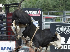 Photos from the weekend's rodeo events at the Warkworth Western Weekend. 
Linda Horn for Community Press