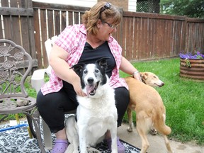 Elizabeth McSheffrey/Daily Herald-Tribune
Grande Prairie dog-lover Lori Rice sits in the backyard with her two rescue dogs, Rex (left) and Lila (right) on Tuesday.