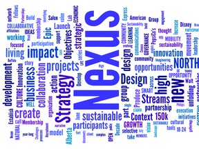 A cloud of some of the most frequent words appearing in Nexus North's written presentation to Council. They were criticized for being over-complex in their language. GRAPHIC ANDREW BATES/TODAY STAFF