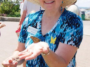 butterfly release