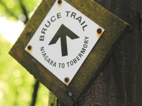 A Bruce Trail trail marker