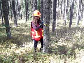 Supplied
Dana Aljanaby of North Delta, B.C., says she has learned a lot during the first half of her Green Dream internship with Weyerhaeuser in Grande Prairie. The UBC student will be heading back to B.C. in the third week of August.