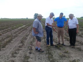 Lambton-Kent-Middlesex PC MPP Monte McNaughton, second from right and Ontario PC Agriculture, Food and Rural Affairs Critic Ernie Hardeman, far right, toured flooded farms and farmland in Dover Centre. McNaughton said Premier Kathleen Wynne, who is also the Minister of Agriculture and Food has been M.I.A. on this important file. (Submitted photo)