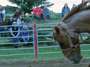 Nanton Nite Rodeo bronc riding