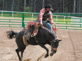 Trevor Cowley of Mayerthorpe, was bucked off his bronc in the saddle bronc event. Though he hit the fence and appeared to have been knocked out for a few seconds medics check0ed him out and concluded he was not seriously injured.