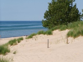A beach at Indiana Dunes National Lakeshore. (National Park Service)