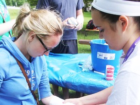 Farren Goos, of Central Huron Secondary School, takes her turn receiving an arm cast as Valerie Steckle, of South Huron Secondary School does the job at last week’s MedQuest camp in Seaforth.