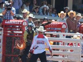Airdrie steer rider competes at Calgary Stampede