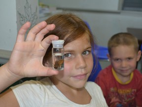 Grace Gray and Devin Anderson hold up a caddisfly larvae — one of the 11 bugs they identified as part of the Creepy Crawly Critters week at the St. Lawrence River Institute's Eco-Camp.
Kathryn Burnham staff photo