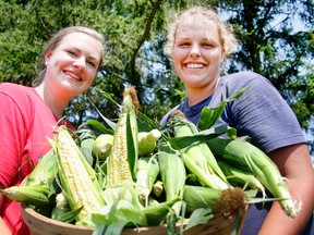 A tax break for a bushel? The PC MPP for Leeds-Grenville, Steve Clark, sees an opportunity to help Ontario food banks by providing tax credits to farmers who donate fresh produce. (MARYANNE FIRTH/QMI AGENCY)