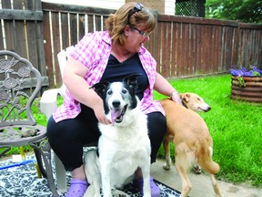 Grande Prairie dog-lover Lori Rice sits in the backyard with her two rescue dogs, Rex (left) and Lila (right) . After providing a foster home for Rex through Bandaged Paws in early March, Rice decided she couldn’t give him up and adopted the pooch permanently as a companion for Lila. (Elizabeth McSheffrey/Peace Country Sun)