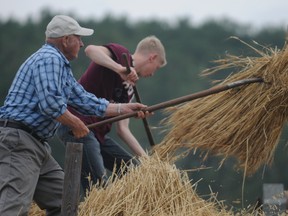 Tom Sideroff, left, and Tim Dennis, load a steam powered wheat threshing machine during Pioneer Days at the South Peace Centennial Museum last  year. This year’s event will kick off on Saturday with a pancake breakfast from 8 to 10 a.m., and will feature local crafts, food booths and heritage demonstrations.
(Peace Country Sun file photo)