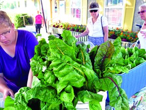 Lori Fox of Fox Family Farms selects a head of lettuce for Heidi Schlagk, right, while Dawn Davis waits to pick up more fresh vegetables at the Brockville Farmer's Market (Darcy Cheek/The Recorder and Times).