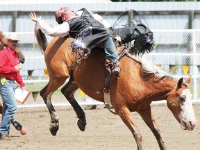 During the 83rd annual Buck Lake Stampede, Brandon Stuart showcases his strength during the bareback riding competition.