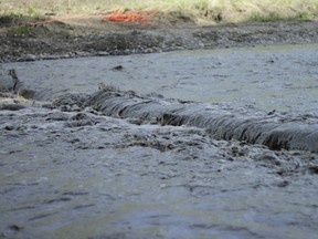 CNRL must restrict steam injection, enhance monitoring and hasten clean up efforts of three seperate spills at its Primrose and Wolf Lake  projects. Lyle Travis/QMI Agency