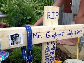 Grave for Mr. Gadget