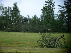 Petawawa storm, July 19, 2013_4