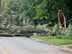 Entegrus crews work to remove six downed power poles in order to restore power along Talbot Street West in Blenheim after powerful straight line winds knocked over a large tree during the storms Friday evening. Diana Martin/Chatham Daily News/QMI Agency