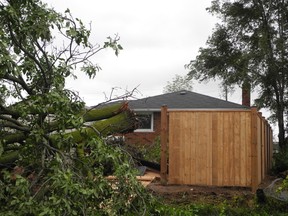 Tree service companies have been working overtime to help clear away branches and make trees safe following a storm that ripped through Paris and St. George on Friday evening.
