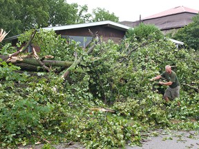 Dave Brown piles fallen tree limbs on South Street in St. George on Saturday morning. (Brian Thompson, The Expositor)
